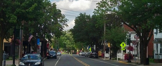 swedesboro-tree-removal