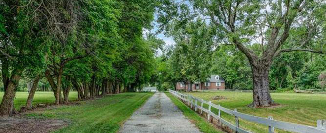 west-deptford-tree-removal